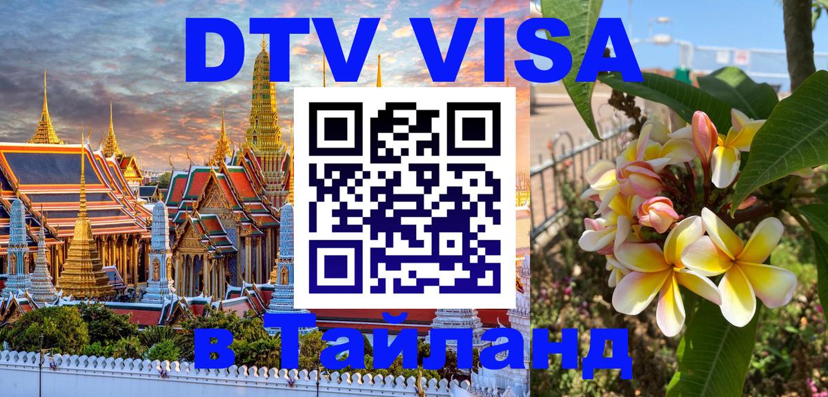 Сколько стоит DTV виза — актуальные цены, оформление даже без документов - 